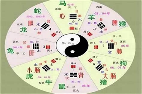 穎的五行|颖字的五行属性